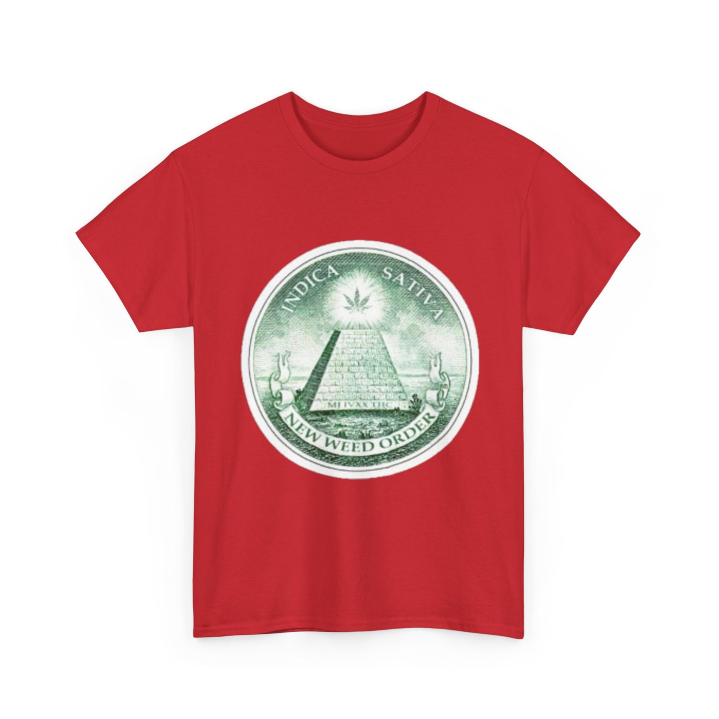Eye-catching Unisex Heavy Cotton Tee with 'Novus Ordo Seclorum' Design