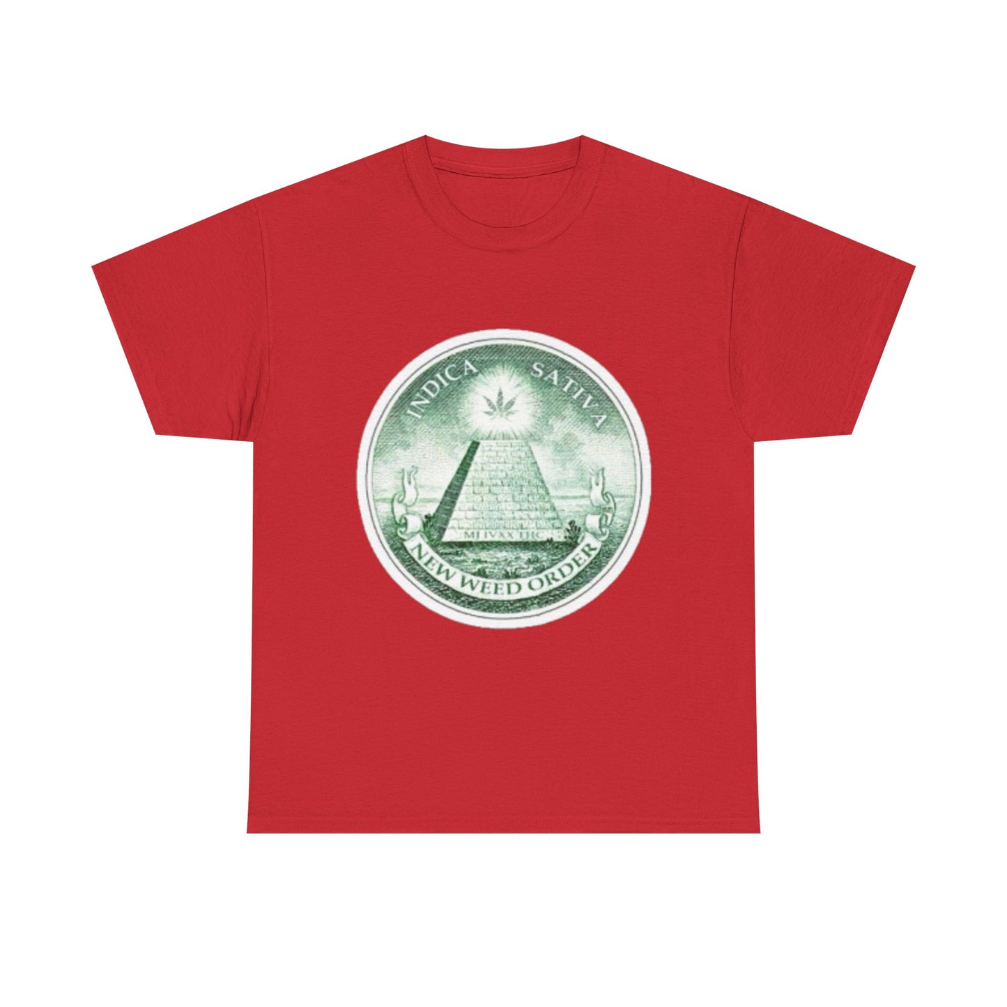 Eye-catching Unisex Heavy Cotton Tee with 'Novus Ordo Seclorum' Design