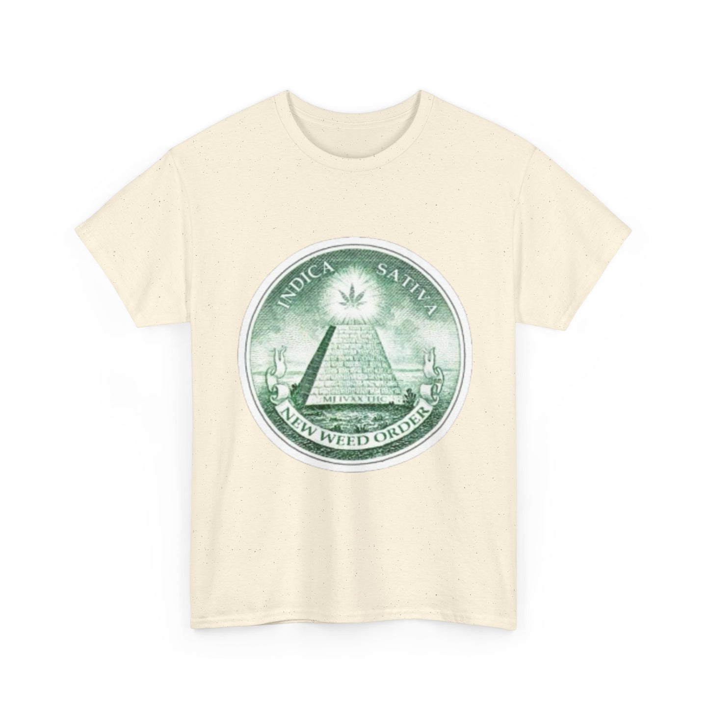 Eye-catching Unisex Heavy Cotton Tee with 'Novus Ordo Seclorum' Design
